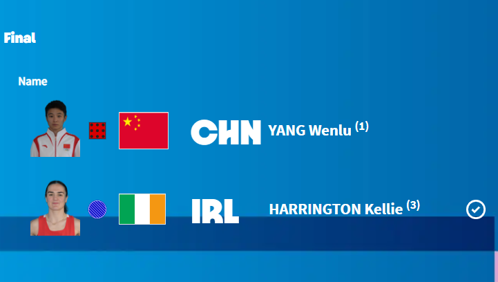 🥈拳击女子60公斤级决赛:中国选手杨文璐获得银牌